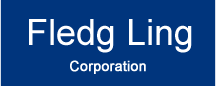 フレッジリング株式会社 FledgLing Corporation